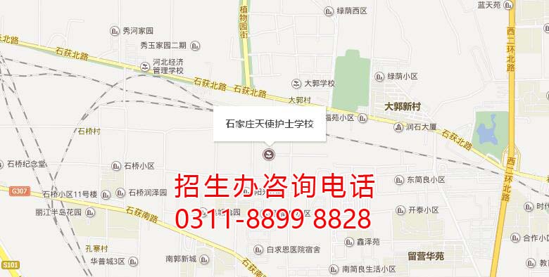 石家莊天使護士學校具體地址是哪里