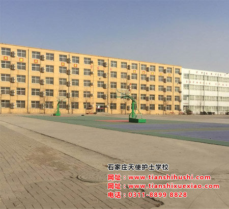 石家莊天使護士學校學生的職業素養