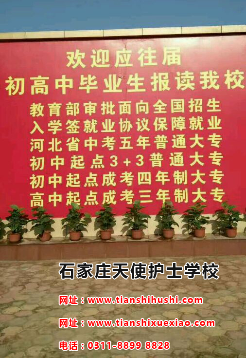 石家莊天使護士學校五年一貫制大專