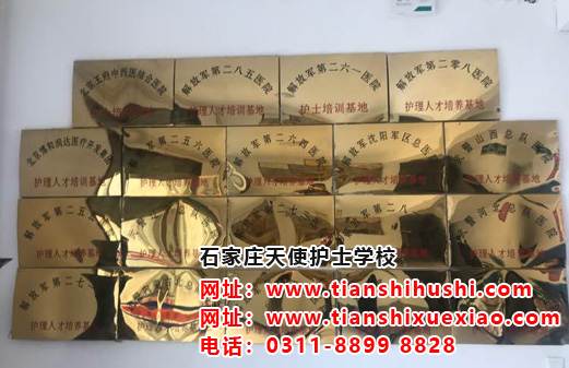 石家莊天使護士學校是正規學校嗎？