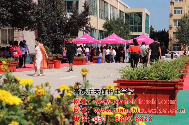 石家莊天使護士學校圖片