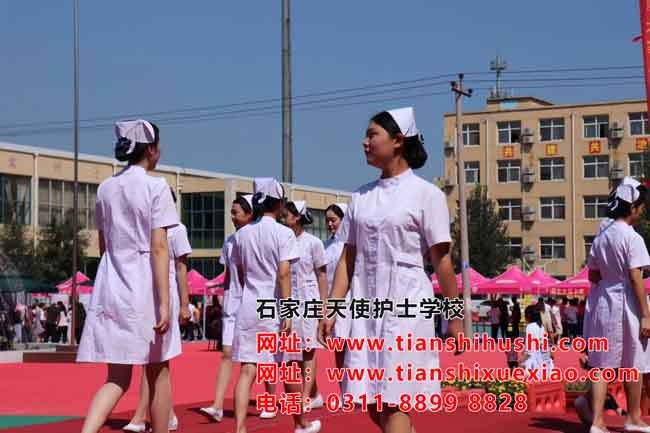 石家莊天使護士學校課程安排