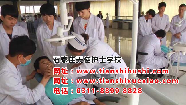 石家莊天使護士學校多少男學生