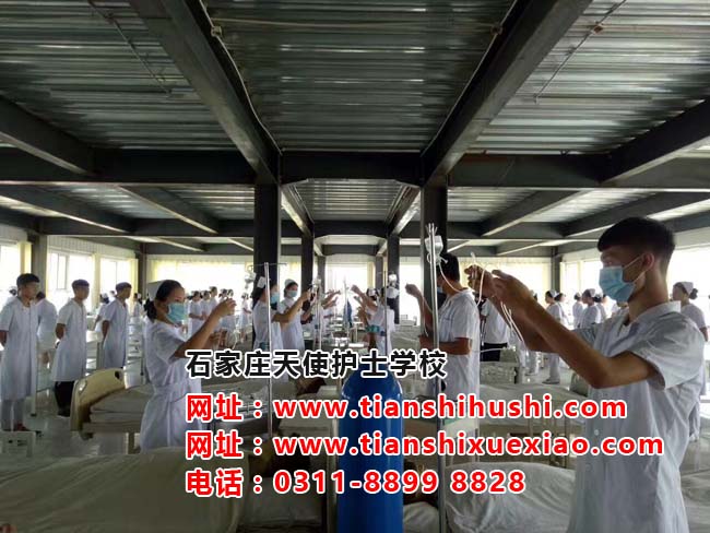 天使護士學校男生