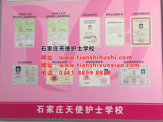 石家莊天使護士學校畢業證