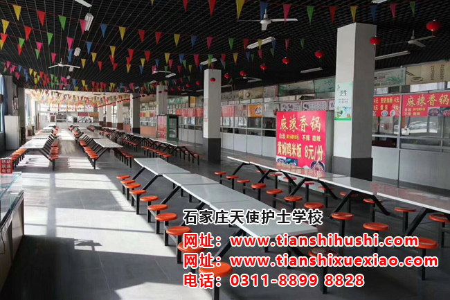 石家莊天使護士學校飯費一個月多少錢