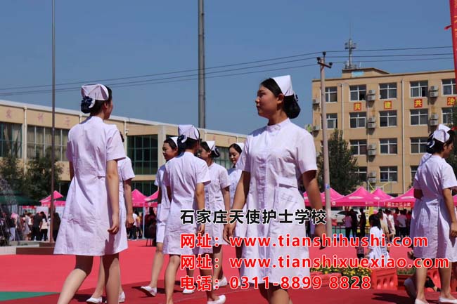 石家莊天使護士學校護理專業(yè)學費貴嗎