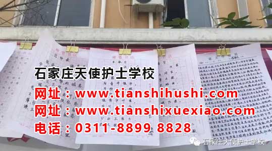 石家莊天使護(hù)士學(xué)?；顒?dòng)