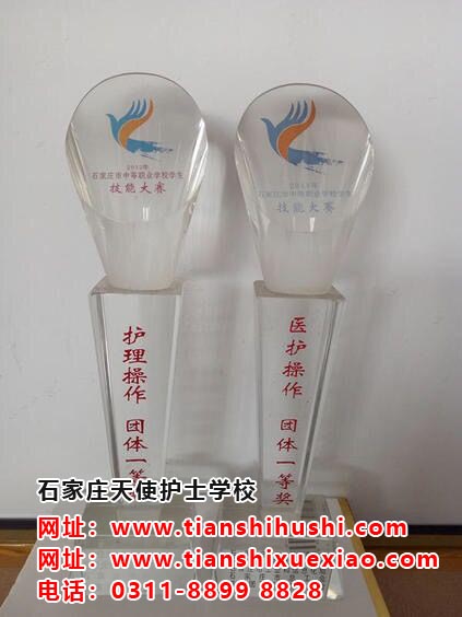 石家莊天使護士學校榮譽