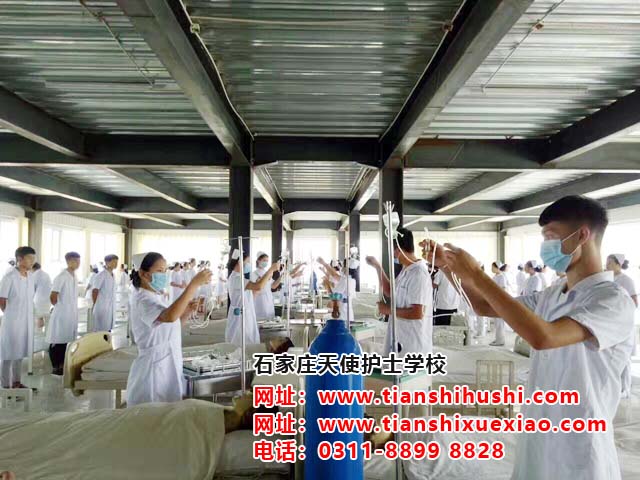 石家莊天使護士學校男護士工資是多少