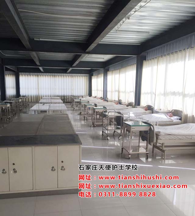 石家莊天使護(hù)士學(xué)校