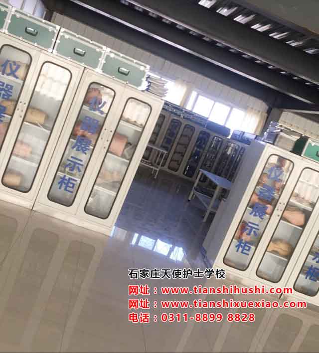 石家莊天使護士學校