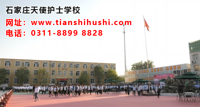 石家莊天使護士學校和其他學校相比較有什么優勢