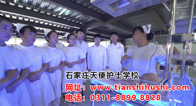 石家莊天使護士學校