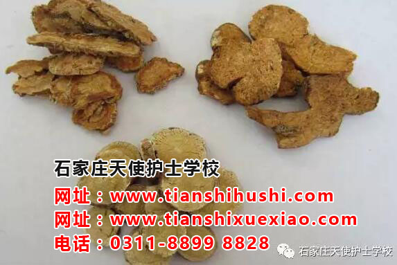 傳千年國學 弘中醫(yī)文化—石家莊天使護士學校扁鵲學堂開講啦！