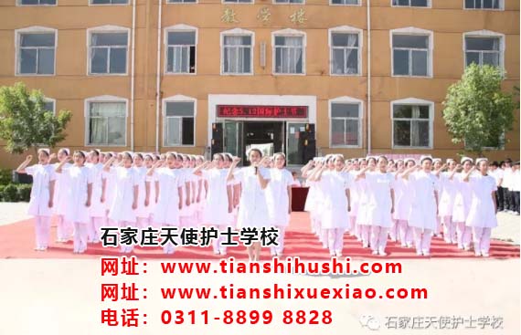 石家莊天使護(hù)士學(xué)校關(guān)于延遲開(kāi)學(xué)的通知