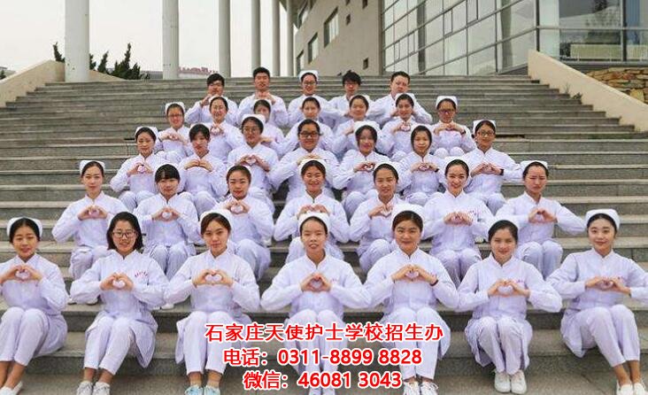 石家莊天使護士學校|疫情過后，這5類醫學專業將大火！