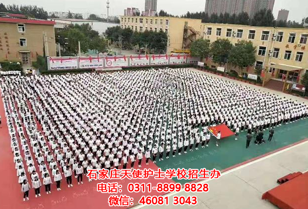 如何學好醫學基礎課程