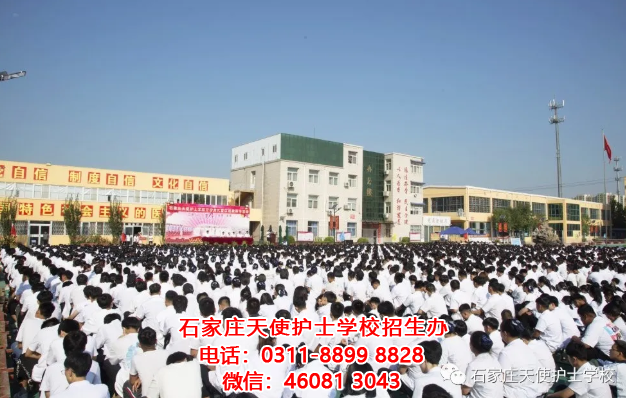 石家莊天使護士學校2020年秋季開學典禮暨慶祝教師節活動