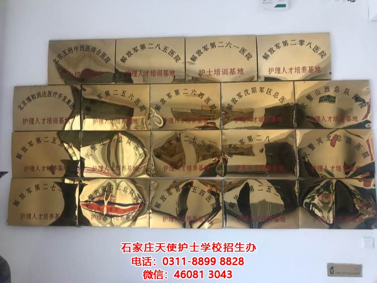 石家莊天使護士學校靠譜嗎管分配嗎
