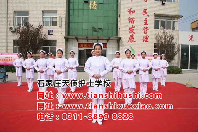 在石家莊天使護士學校學習護理專業應該注意的基本禮義
