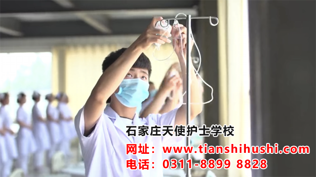 石家莊天使護(hù)士學(xué)校春季班也是學(xué)三年嗎