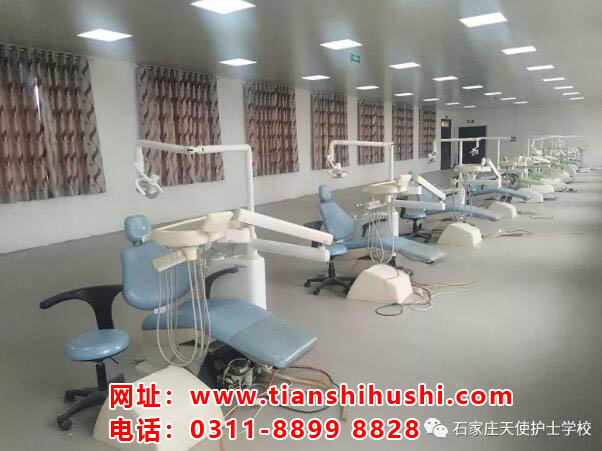 承德地區學生可以享受石家莊天使護士學校4000元助學金補助嗎