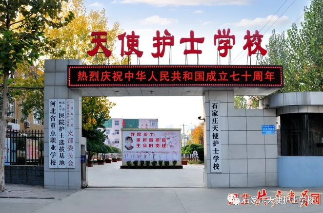 黨建引領 凝聚合力 紅色天使 立德樹人