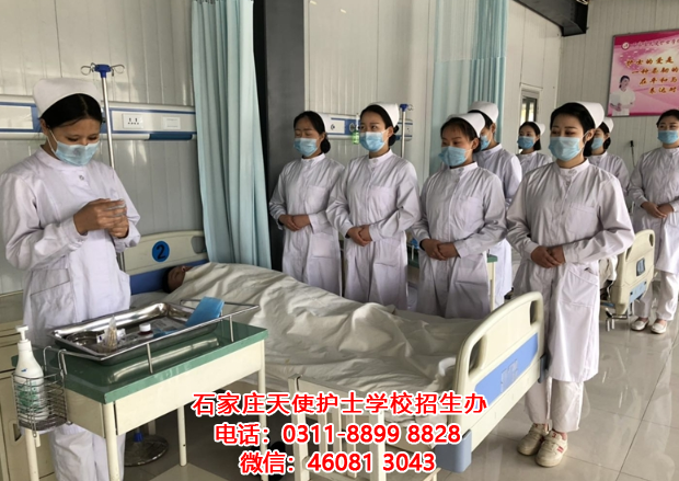 石家莊天使護士學校護士專業必須牢記的護理知識（二）