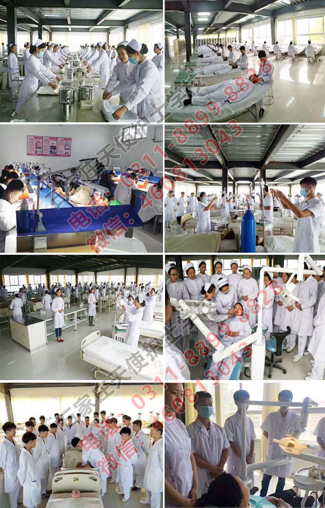 河北：加強(qiáng)4類緊缺醫(yī)學(xué)專業(yè)人才培養(yǎng)