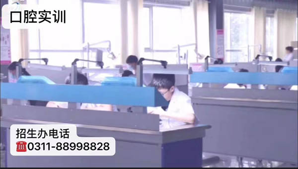 石家莊天使護士學校有口腔醫學專業嗎？