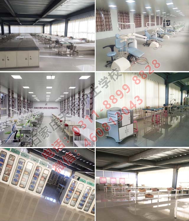 石家莊天使護士學校2021年春季新生是從新分新班還是插班？