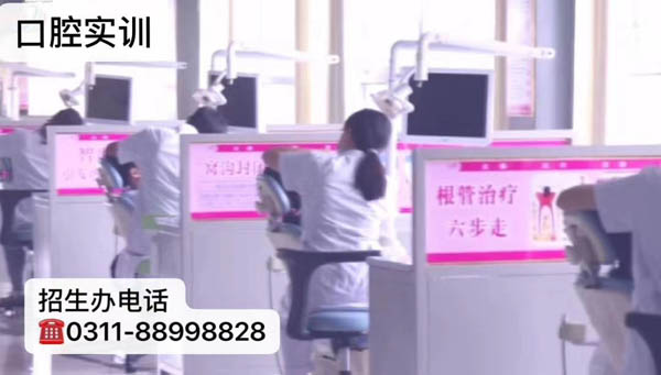 石家莊天使護士學校畢業生學口腔醫學有哪些大專院校