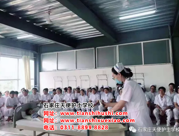 石家莊天使護(hù)士學(xué)校學(xué)習(xí)護(hù)理專業(yè)除了當(dāng)護(hù)士還能干什么