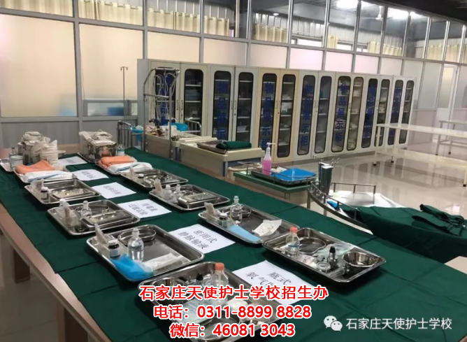 石家莊天使護(hù)士學(xué)校中藥專業(yè)都學(xué)什么