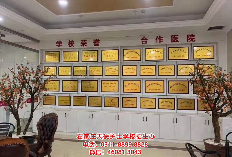 石家莊天使護(hù)士學(xué)校還招2021年中考畢業(yè)生嗎