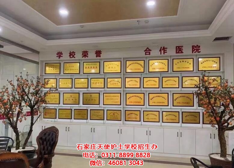 來石家莊天使護(hù)士學(xué)校上學(xué)選擇什么專業(yè)好