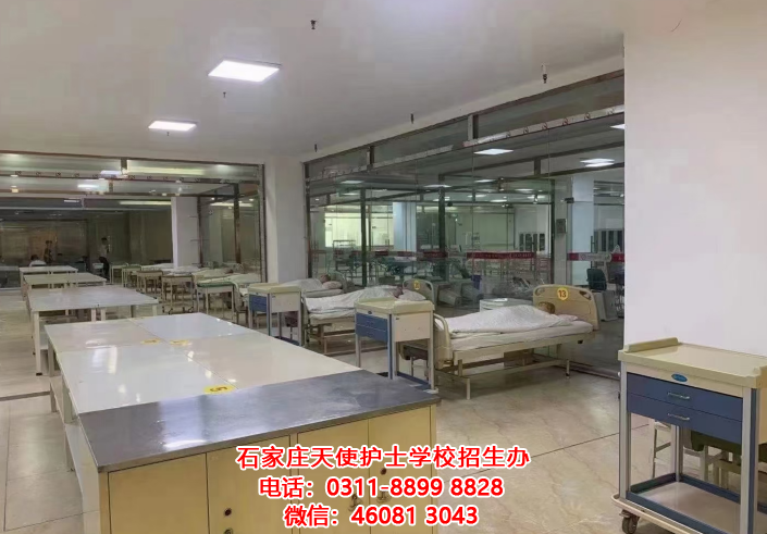 石家莊天使護(hù)士學(xué)校護(hù)理專業(yè)畢業(yè)后能上哪些大專專業(yè)？