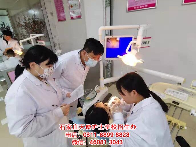 石家莊天使護士學校口腔專業好不好？