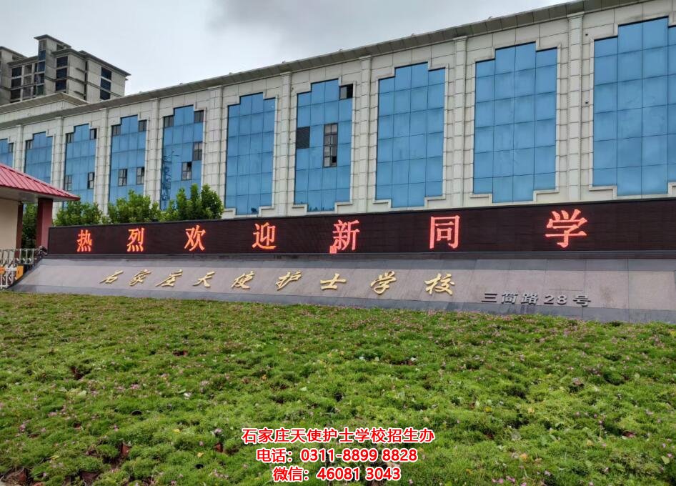 石家莊天使護士學校2023年春季招生簡章