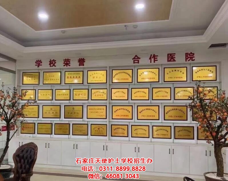 石家莊天使護士學校2023年春季招生怎么樣
