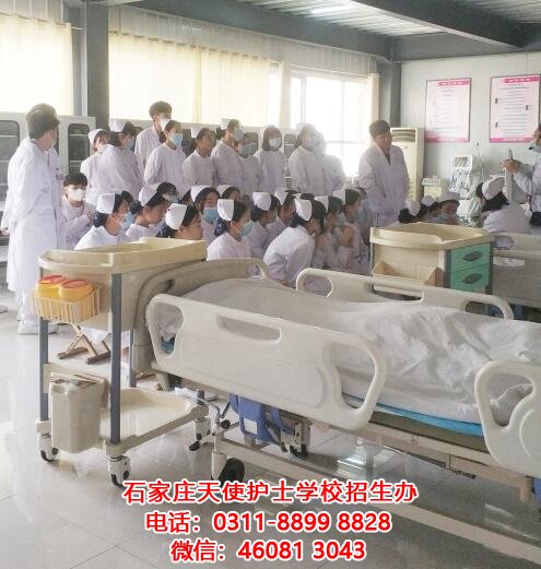 石家莊天使護士學校護理專業畢業后的就業方向