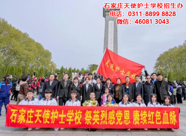 石家莊天使護(hù)士學(xué)校祭英烈感黨恩 賡續(xù)紅色血脈