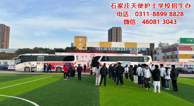 石家莊天使護士學校 無償獻血 奉獻愛心