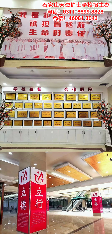 石家莊天使護士學校2025年春季招生要求