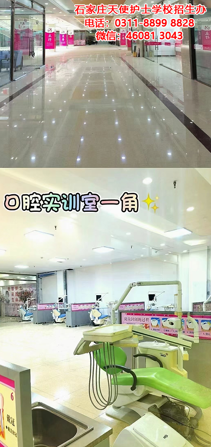 石家莊天使護士學校2025年春季收費