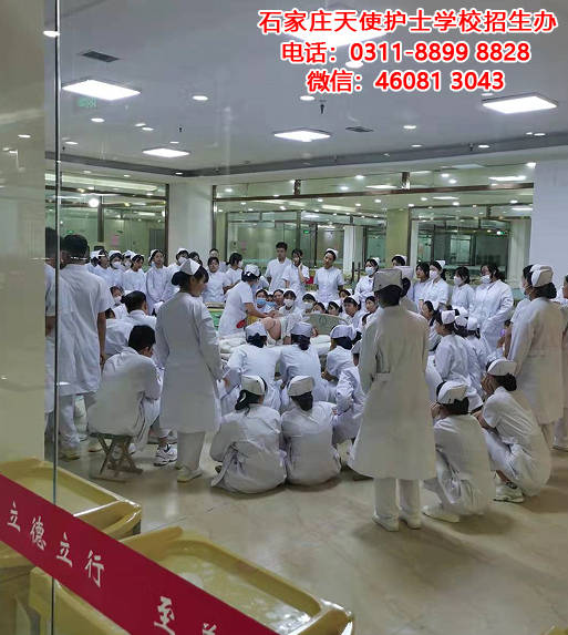 石家莊天使護士學校2025年春季招生條件