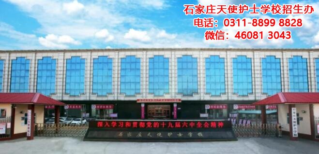 石家莊天使護士學校怎么報名