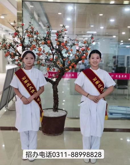 石家莊天使護(hù)士學(xué)校2024年招生專(zhuān)業(yè)