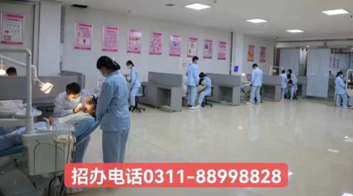 成為牙醫(yī)行業(yè)的精英：石家莊天使護士學校2024年春季口腔專業(yè)招生簡章發(fā)布